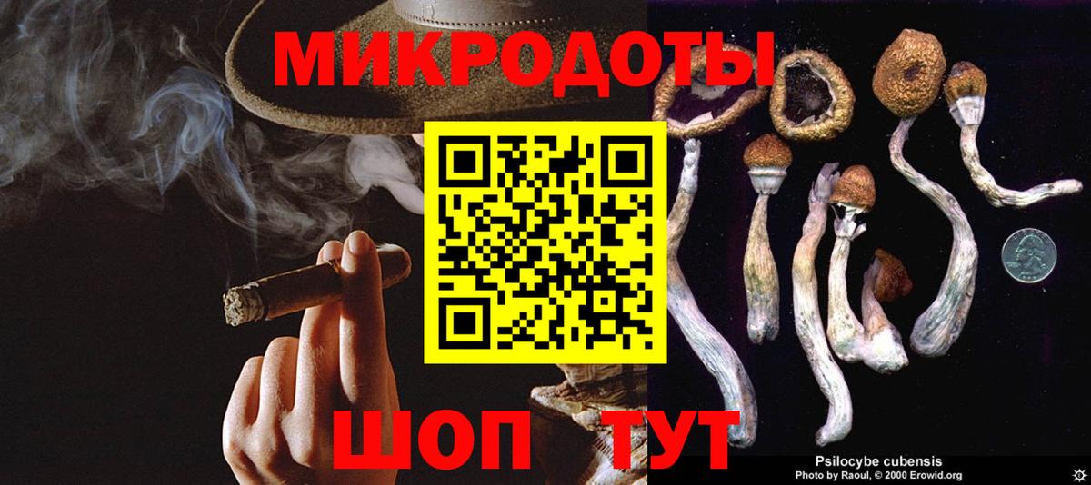 Галлюциногенные грибы Psilocybe  Псилоцибиновые грибы мицелий  Усинск 